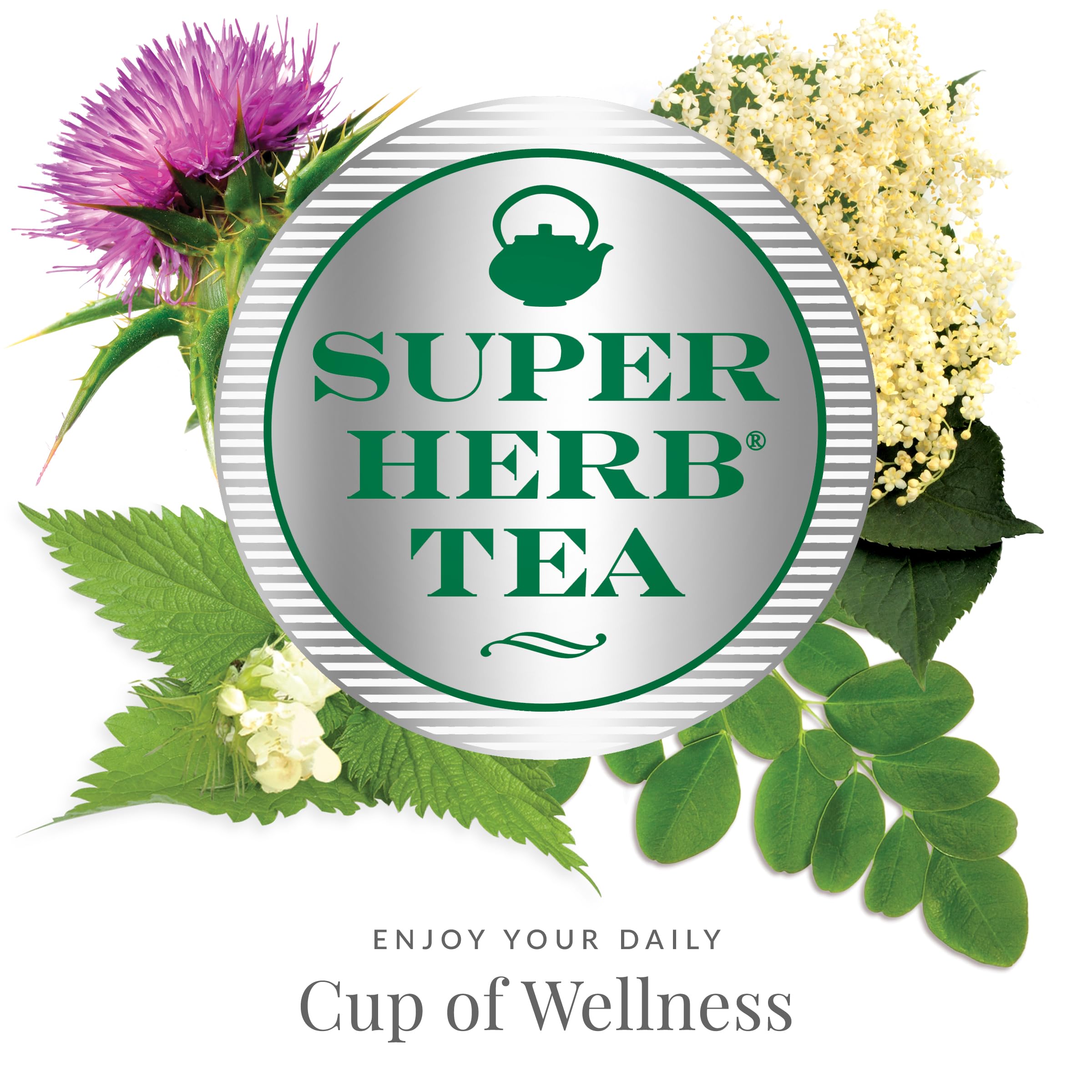 The Republic of Tea - Tampilan 4